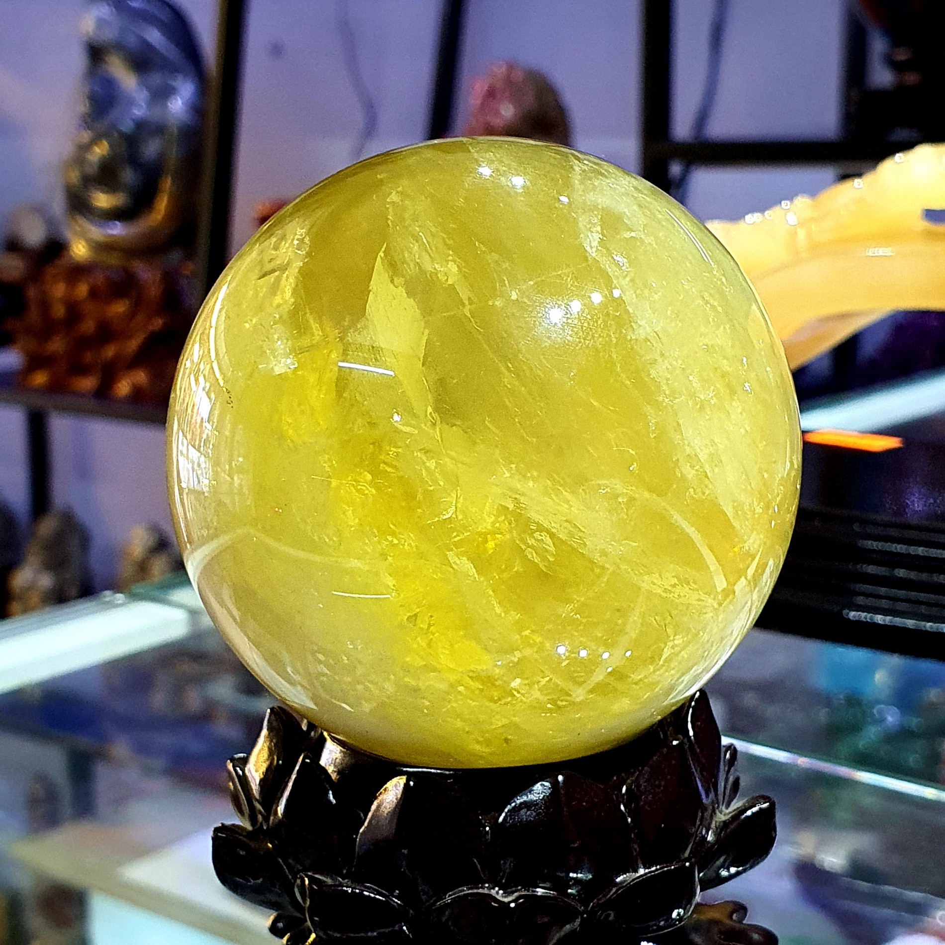 dtb00079_6