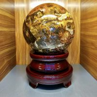 Quả cầu phong thủy gỗ hóa thạch thiên nhiên ĐK:18cm - Hợp mệnh mộc, hỏa, thổ - QCHT1157