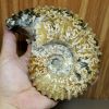 oc-anh-vu-hoa-thach-trung-bay-phong-thuy-oav119 - ảnh nhỏ 3
