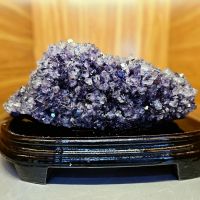 Bụi tinh thể thạch anh tím thiên nhiên đẹp - TAT1133