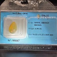 Mặt đá quý Opal thiên nhiên - Đã kiểm định - OP239