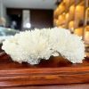 vien-hoa-da-uu-dam-thien-nhien-vip-hud1207 - ảnh nhỏ 3